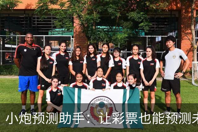 小炮预测助手：让彩票也能预测未来的“神奇”工具